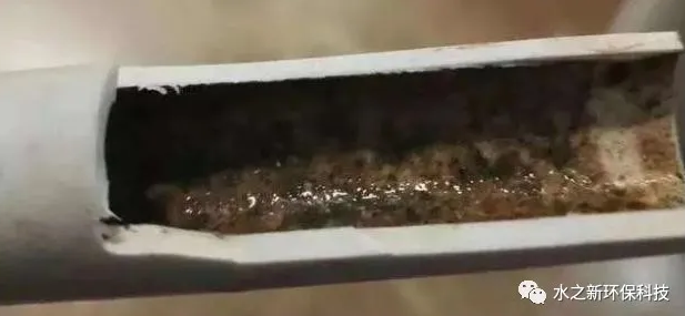 如何判斷水管臟不臟，清洗水管這筆錢值不值得